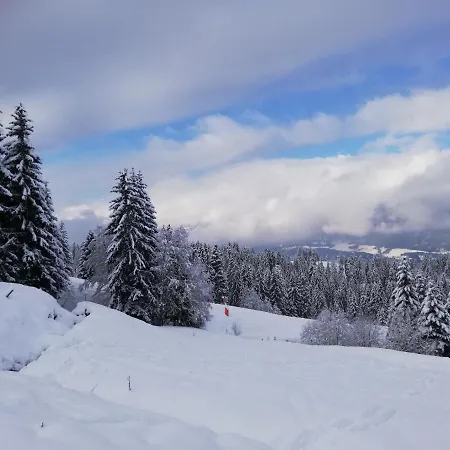 Daire Mit Blick Auf Buchensteinwand Hochfilzen