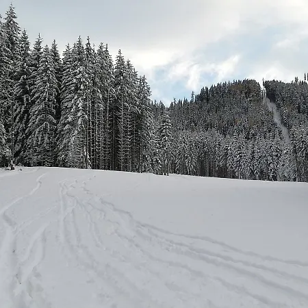Mit Blick Auf Buchensteinwand